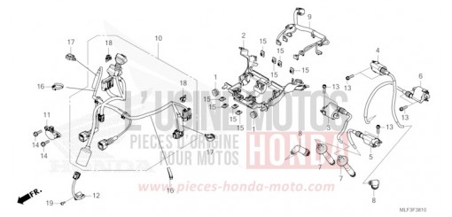SUB HARNESS/IGNITION COIL NT1100AN de 2022